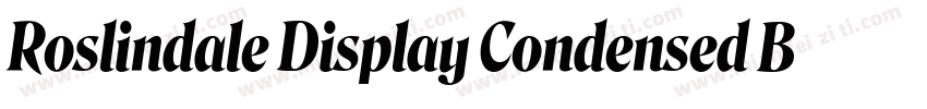 Roslindale Display Condensed Bold字体转换